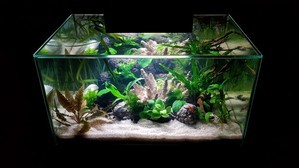 Разрыв шаблона - офисный Fluval Edge 2.0