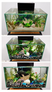 Разрыв шаблона - офисный Fluval Edge 2.0