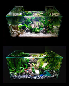 Разрыв шаблона - офисный Fluval Edge 2.0