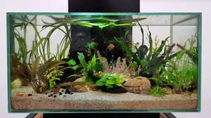 Разрыв шаблона - офисный Fluval Edge 2.0