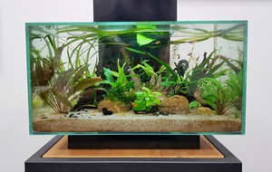 Разрыв шаблона - офисный Fluval Edge 2.0