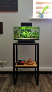 Разрыв шаблона - офисный Fluval Edge 2.0