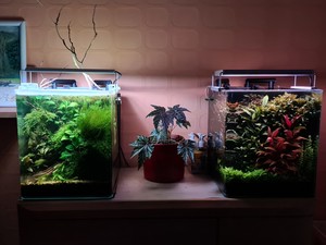 dennerle nano cube 20 l. - подделка?