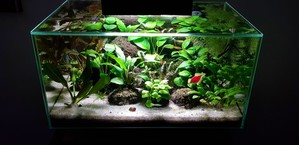 Разрыв шаблона - офисный Fluval Edge 2.0