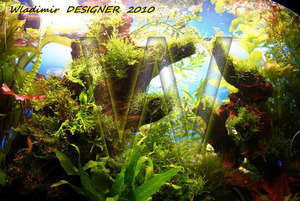 DESIGNER 2010