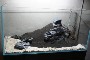 hardscape