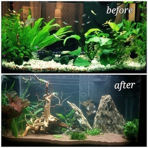 100l before/after