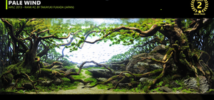 90x45x45 ADA style aquascape