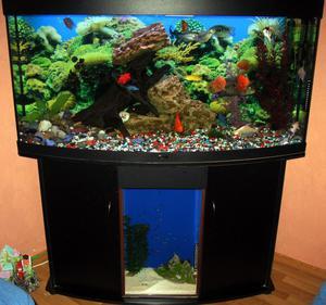 Aqarium250l