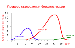 для форума