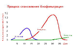 для форума