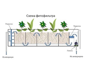 для форума