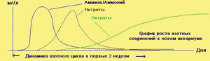 для форума