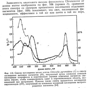 для форума