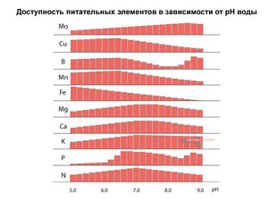 для форума