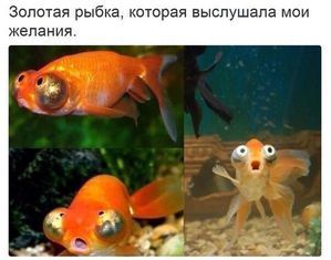 для форума