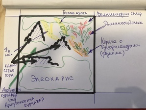 Перезапуск креветочника 10 литров