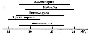 Редокс-потенциал