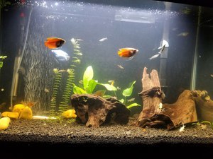 Опыт использования Fluval LED 3.0 Plant Spectrum