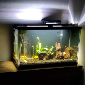 Опыт использования Fluval LED 3.0 Plant Spectrum