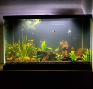 Опыт использования Fluval LED 3.0 Plant Spectrum