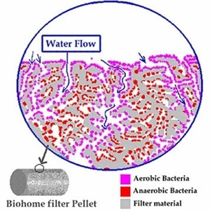 Biohome Ultimate