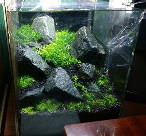 Test nano IWAGUMI 20L