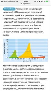 Запуск на грунте бенибаче