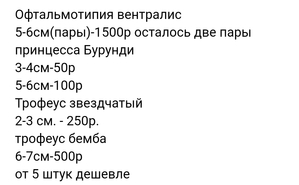 170 оттенков Малави. Дневник моего аквариума.