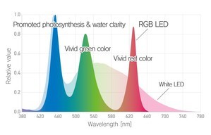 CHIHIROS RGB VIVID: мнения?