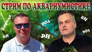 Магазин Aqamix (январь 2016)