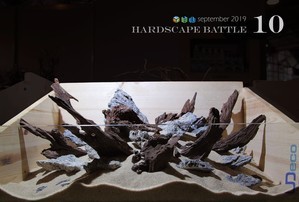 HARDSCAPE BATTLE