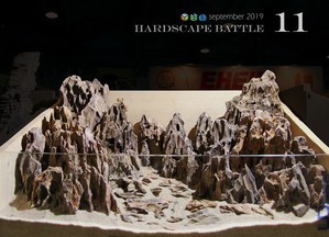 HARDSCAPE BATTLE