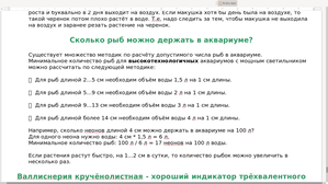 Хочу истерику и рассказы об азотном цикле - демонстрация запуска аквариума Чейза