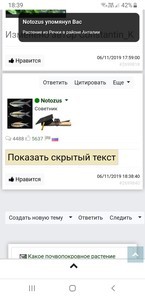 Растение из Речки в районе Анталии