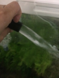 Разочарование fluval fx6