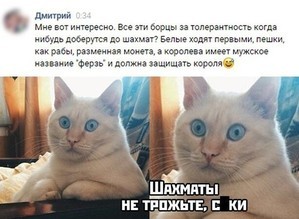 приколы..