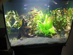 HAGEN FLUVAL Flex 34 ... возвращение к малым объемам