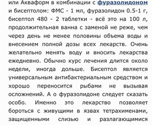 Барбус мутант заболел? Сам не могу понять что с ними.