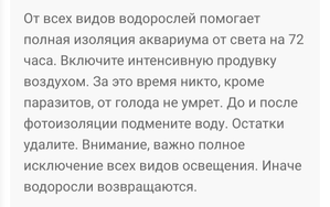 Ворсинки на растениях, при запуске 60л,колышатся от тока воды