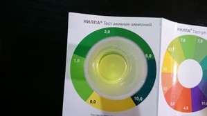 Запуск аквариума 6.8 литров от Tetra