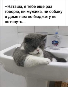 приколы..