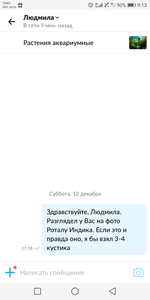 Креветок в общий аквариум. Можно?