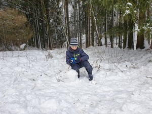 Лесные прогулки.