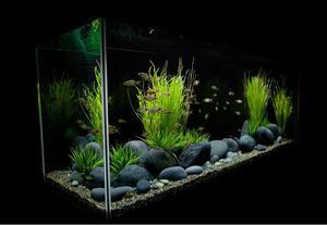 Aquarium Design 2