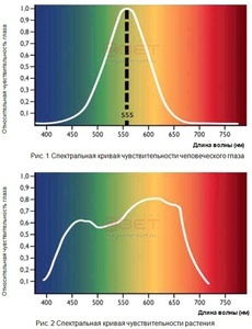 для форума