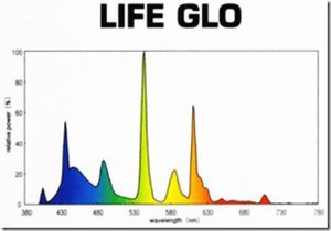 Спектр Hagen Life Glo