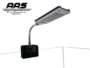 Boyu Led Lamp