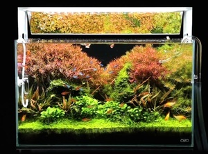 ADA LED Aquasky Moon