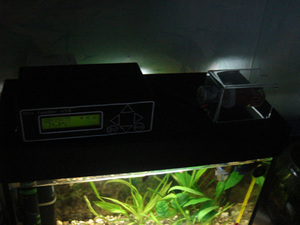 fish_feeder4